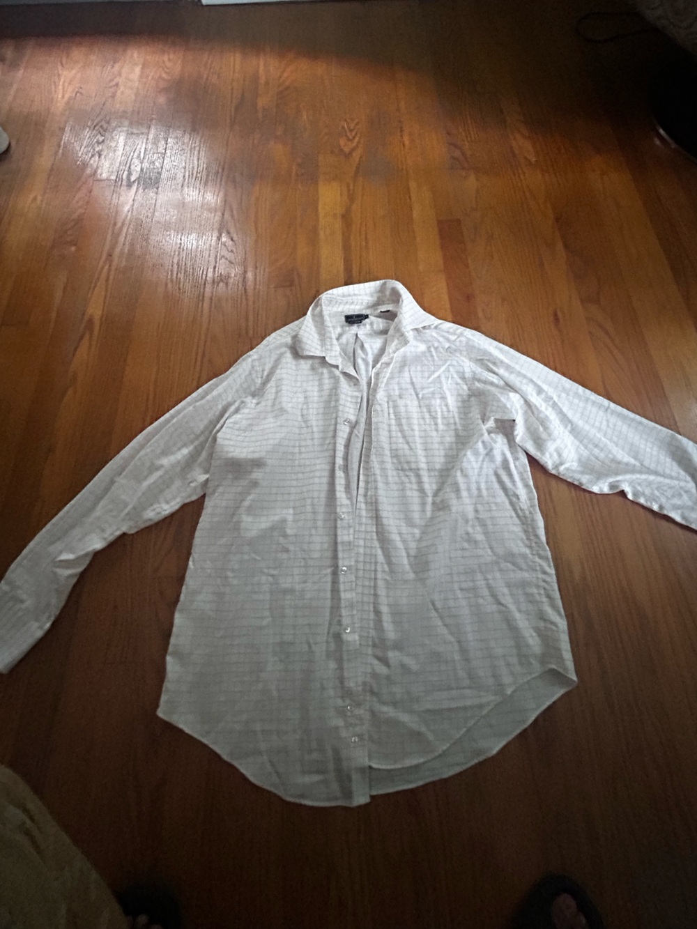 Lanesboro Men's Light Colored Button-Up Shirt